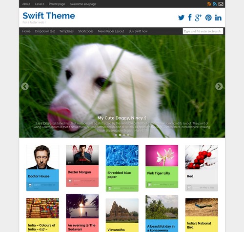 Swift Basic WordPress Free Theme